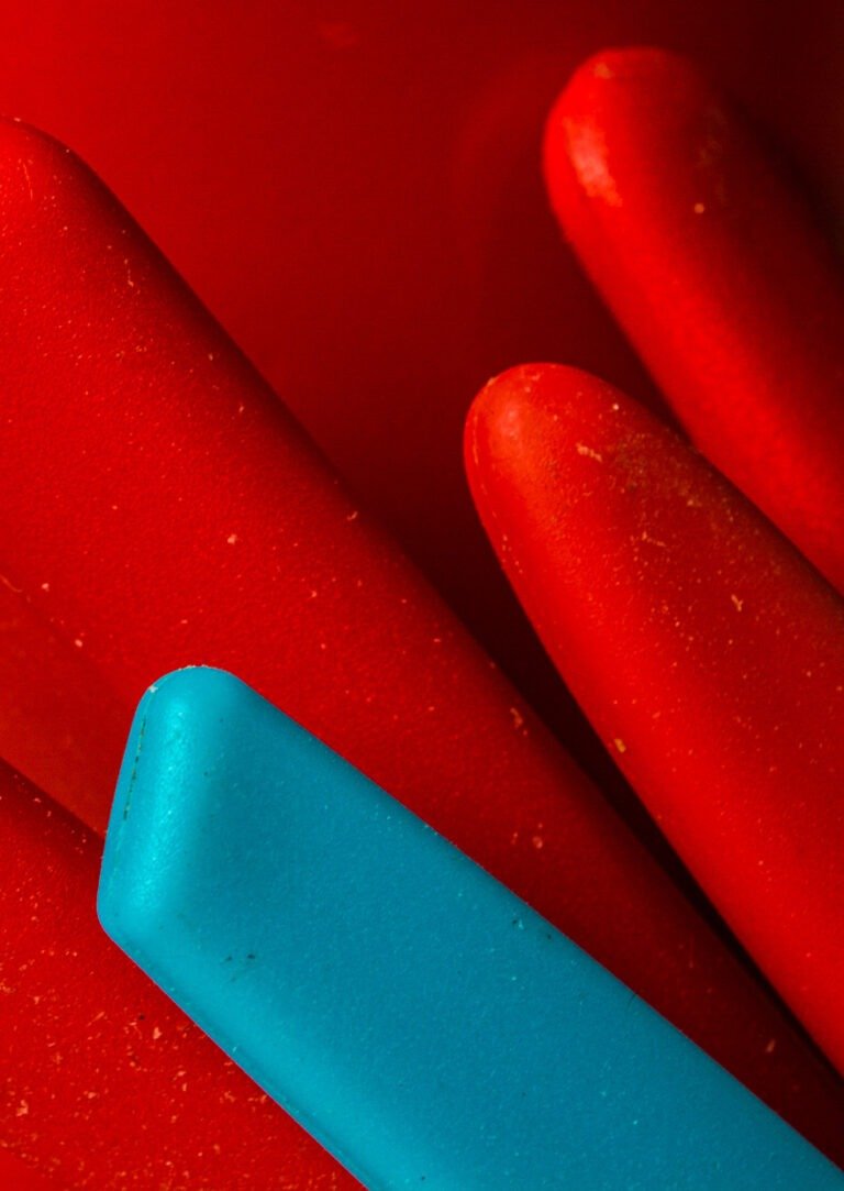 Yo también me enamoré de un boludo de Ivanna Di Bello