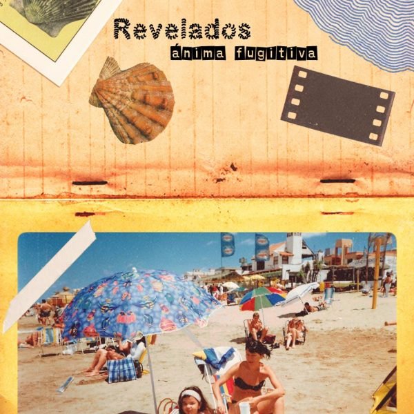 Un terreno baldío digital: “Revelados” de Andrea Martín