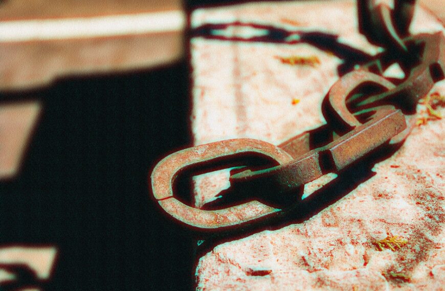 Número 13 – Agosto 2021