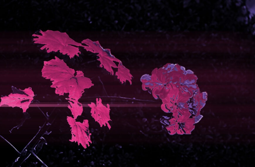 Número 14 – Septiembre 2021