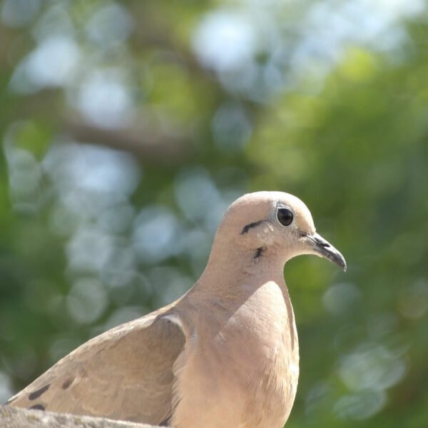 Cuando te preguntes lo que hicimos en los días del invierno