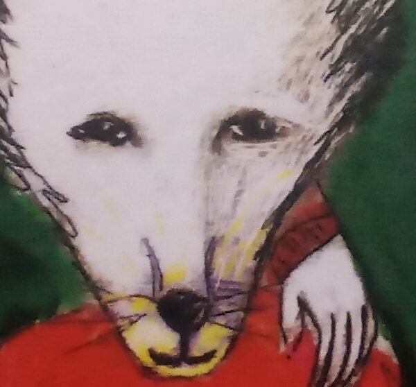 Narrativa de la Patagonia: «Invierno» de Cecilia Fresco