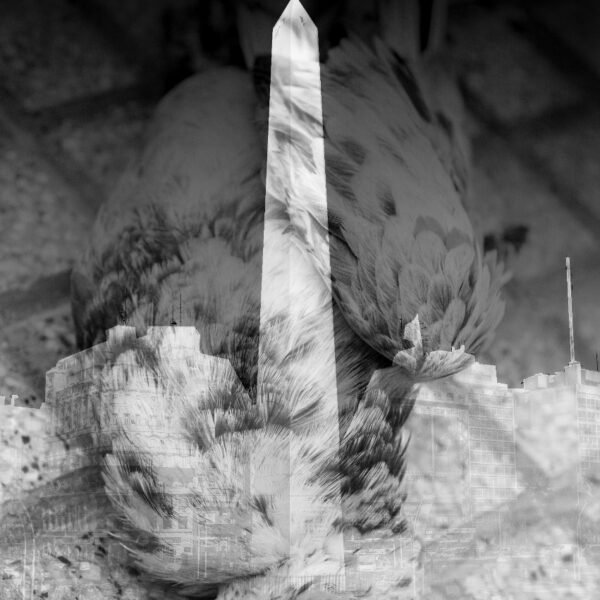 Los Pájaros Van a Morir a Buenos Aires de Eduardo Perrone