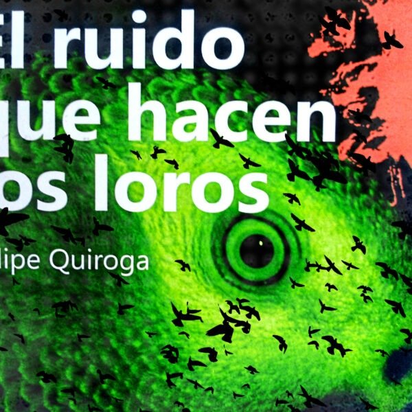 Tensión en la niebla