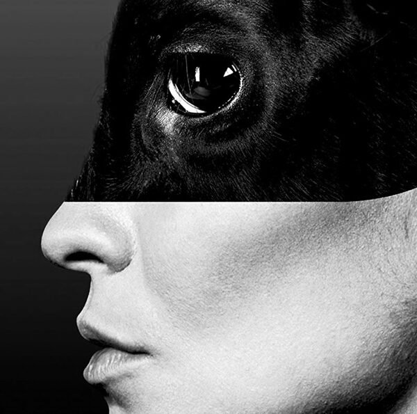 Reescritura de la figura de la cautiva en Cadáver Exquisito de Agustina Bazterrica