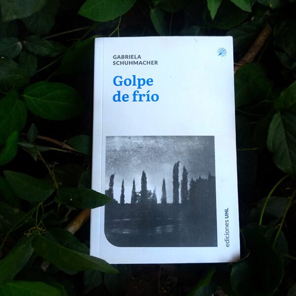 Lo sutil y lo preciso: «Golpe de frío» de Gabriela Schuhmacher
