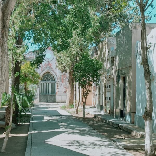 Mi abuelo y la poesía en las tumbas