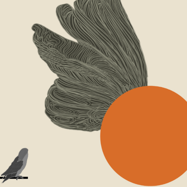 Humildes gorriones de pueblo: “Gorriones que anidan en las manos” de Misael Castillo