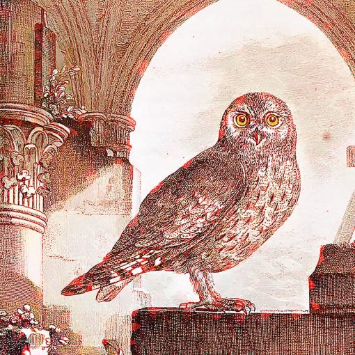 «El búho de Minerva levanta vuelo al anochecer» de Alfredo Lemon